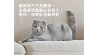 寵物專區 寵物專區